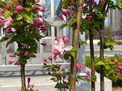 -元大都城垣遗址公园