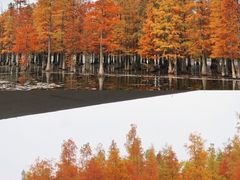 -白鹭湾湿地公园