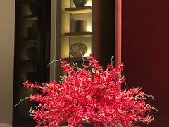 -宁海安岚·南溪阁全日餐厅