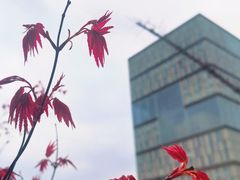 -同济大学(地铁站)