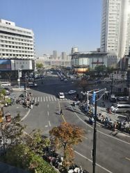 -上海玫瑰医疗美容医院