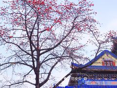 -广州中山纪念堂