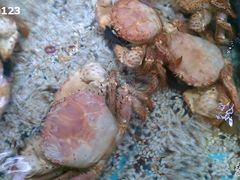 -渔民新村(番禺总店)