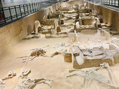 -洛阳周王城天子驾六博物馆