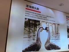 -陆记鹅庄·潮汕菜·狮头鹅(大仟里店)