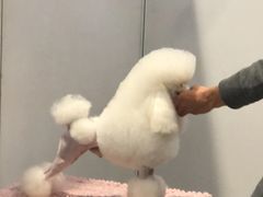 -簋街
