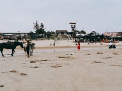 -南澳海滩