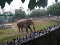 -西安秦岭野生动物园