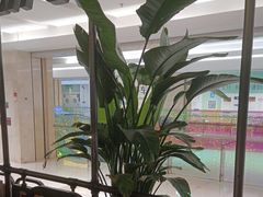 -旺顺阁鱼头泡饼(常营店)