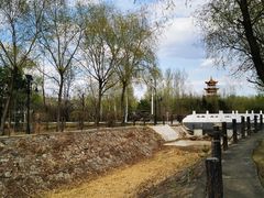 -绥化市森林植物园