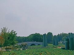 -西安浐灞国家湿地公园