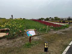 -径山花海