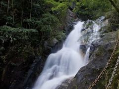 -九龙江国家森林公园