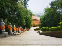 -西双版纳勐泐文化旅游区