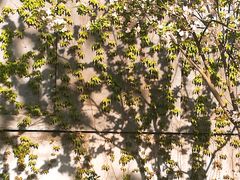 -山东师范大学(千佛山校区)