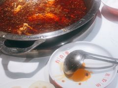 -蜀滋香鲜鱼美蛙火锅(339店)