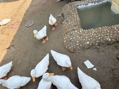 -HERRE·FARM 赫尔露营农场·团建聚会包场