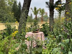 -深圳仙湖植物园