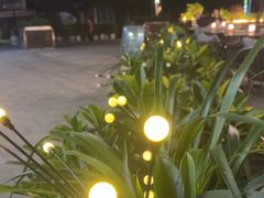 -叁 Three· bistro餐酒馆