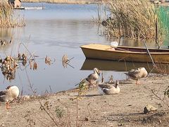 -长春市南湖公园