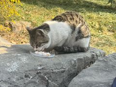 -烤肉季饭庄