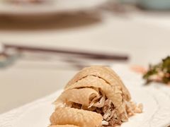 -蝶园·装修中(BFC外滩金融中心店)