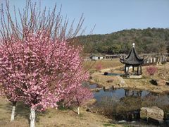 -龙寺生态园