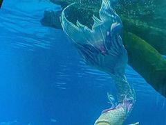 -福州罗源湾海洋世界旅游区