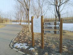 -东郊湿地公园