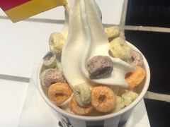 -JW德国冻酸奶Frozen Yogurt(龙湖成都滨江天街店)
