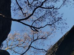 -宝石山