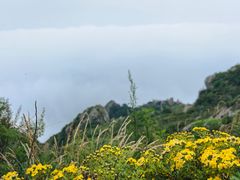 -白草畔自然风景区