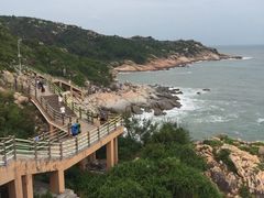 -广东惠东海龟国家级自然保护区