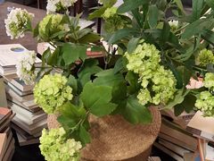 -道南書院·私房菜·早午茶·茶馆