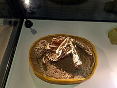 -房山世界地质公园博物馆