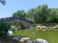 -大兴滨河森林公园