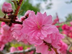 -元大都城垣遗址公园