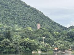 -深圳仙湖植物园