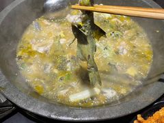 -石锅苗苗鱼(武汉首店)