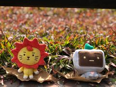 -晓港公园
