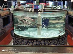 -尚海豆捞(乐虹坊店)