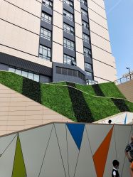 -上海交通大学医学院附属上海儿童医学中心(陆家嘴总院区)