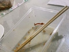 -老周记顺德双皮奶