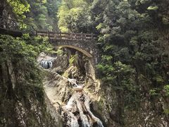-龙湾潭国家森林公园
