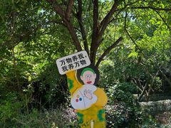 -九龙潭景区
