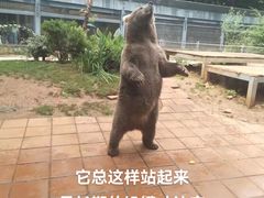-昆明动物园