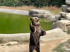 -杭州野生动物世界