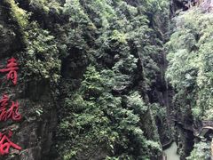 -阿依河景区