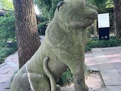 -天一阁博物院