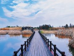 -宁波杭州湾国家湿地公园